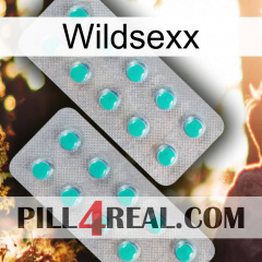 Wildsexx 29